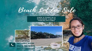 Tabuelan Cebu Commercial Properties Along Highway to Beachfront For Sale