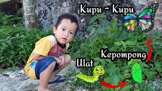 Perubahan Ulat Menjadi Kupu - Kupu | Yoichi Yafizhan