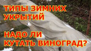 ЗИМНИЕ УКРЫТИЯ ВИНОГРАДА. Надо ли кутать кусты и когда?