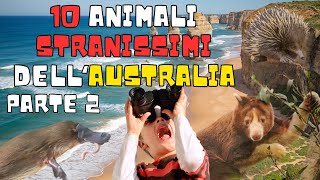 Meraviglie dell'Australia: 10 Animali UNICI e STRANISSIMI  PT2 #animaliselvatici #australia #animali