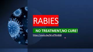 RABIES HAS NO CURE, BUT PREVENTABLE