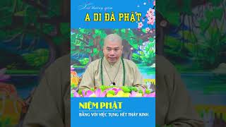 [Thầy Thích Nhuận Đức]: Niệm A DI ĐÀ PHẬT - Bằng Với Việc Tụng Hết Thảy Các Kinh .