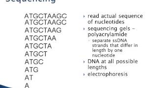 Sequencing 1