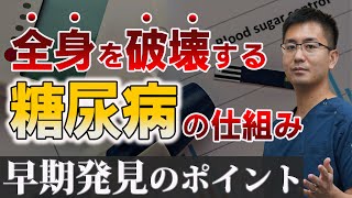 糖尿病ってどんな病気？糖尿病の仕組みと症状を専門医が徹底解説！【教えてドクター】