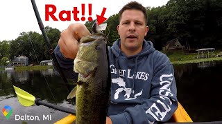 Catching Bass on a RAT Lure!!