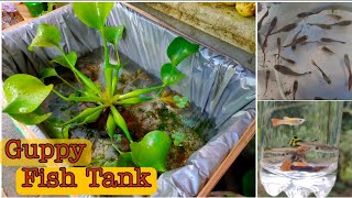 Guppy Fish Tank | Malayalam | KA vlogs