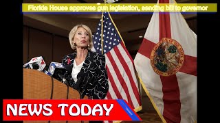 US News - Florida House approves gun legislation, sending bill to governor