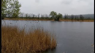 Всем нужно крепкого сна! Крепкий сон с проливным дождем возле реки.Расслабляющий шум дождя без грома