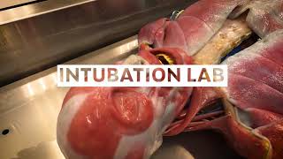 NOVA EMS Syndaver Intubation Lab