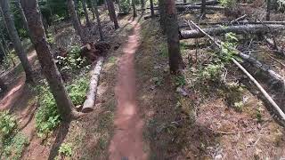 Brookvale PEI MTB