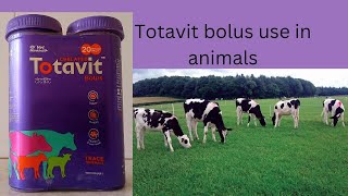 Totavit bolus use in hindi