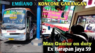 Driver muda kece suos Sam Guntur style!trip Bagong 7909(emiliano x KONCONE GARANGAN)