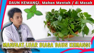 10 Manfaat Besar Daun Kemangi Bagi Kesehatan Tubuh || dr. Andi