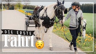 KLAPPT DIE ERSTE FAHRT? 😧 Ihr seid dabei! // A&G HorseDiary