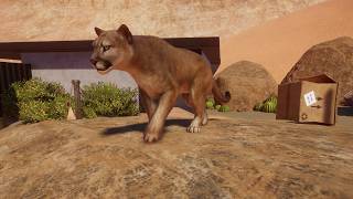 Planet Zoo - Oasis Springs Cougar Habitat