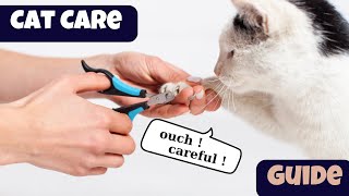 Cat Care: Comprehensive Guide to Cat Hair, Nail Care, Bathing, and Ear Cleaning