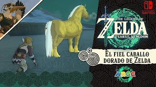 The Legend of Zelda: Tears of the Kingdom: EL FIEL CABALLO DORADO DE ZELDA