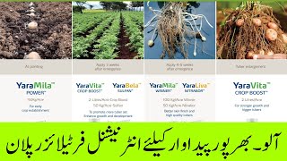 Boost Potato Yields with This Fertilizer Plan | Cyber Agri Extension | (آلو۔ بھرپور فرٹیلائزر پلان)