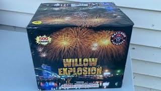 Willow Explosion by Raccoon Fireworks ~ 24 shots