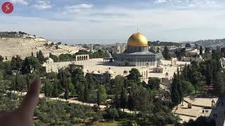 Jerusalem Masjid  Al-Aqsa Holy Land