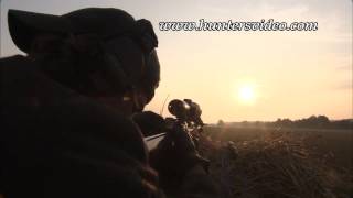 Jagd in Tschechien - Hunters Video