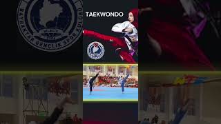 Taekwondo Poomsae Freestyle 1.Part