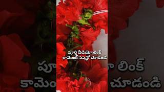 మందారం 🌺 పూల దండ/ వేణి // Making hybiscus flower garland or veni #flowergarland #shortsviral #shorts