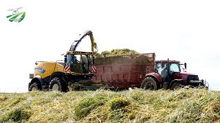 🇫🇷☘💨 NEW ENSILEUSE NEW HOLLAND A L'ENSILAGE D'HERBE 2020 | CASE & VALTRA