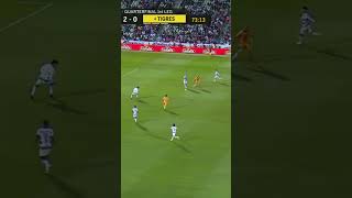 Golazo de 10APG vs Santos 2021