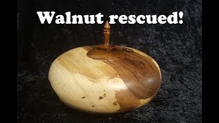 Wood turning - Walnut log rescued