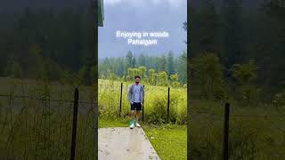 Nature’s love it’s Amazing #pahalgamkashmir #travelvlog #faizvlogs