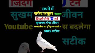 Sapne Me Safed Kabutar Dekhna । सपने में सफेद कबूतर देखना । Seeing White Pigeon in Dreams |