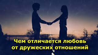 Чем отличается любовь от дружеских отношений