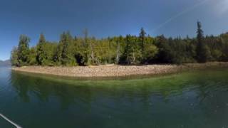 360 Video - Boat with Bear - Emerald Edge