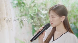 이아영 -  오늘은 헤어지는 날이죠 Live Clip