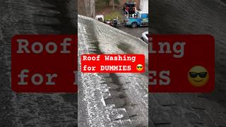 Roof Washing for BEGINNERS #businessstartup #softwashing #shorts