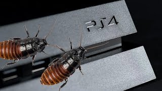 LA PLAYSTATION 4 È PIENA DI SCARAFAGGI??