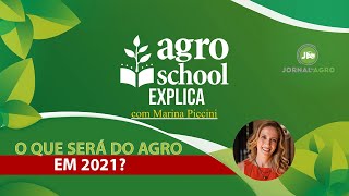 O QUE SERÁ DO AGRO EM 2021?