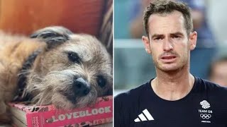 Andy Murray heartbroken as he announces death of beloved family member