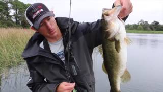 Crushing Big Bass on Topwater Lures