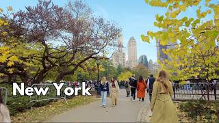 4k Walk Central Park Autumn Fall Foliage New York City 🍂🍁🍃☕️