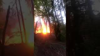 Feuer Waldbrand Teutoburger Wald Schwedenschanze Bielefeld Samstag 21:00 Uhr 25 April 2020