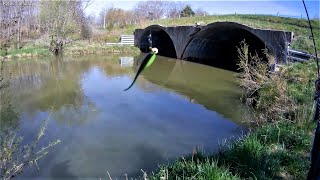 Ta Przynęta Łowi Dwie Ryby w Dwóch Rzutach (This lure catches two fish in two casts)