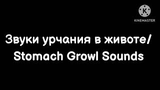 Звуки урчания в животе / Stomach Growl Sounds