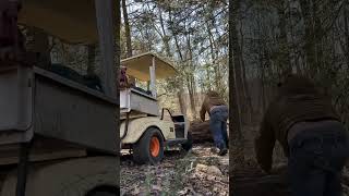 EZ GO Golfcart pushes huge maple log