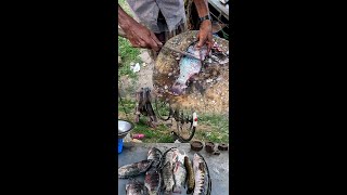 Best Fish Cutting Skills in The Village TILAPIA CUTTER IN STREET!