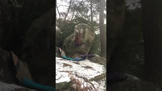 Bleau's Art 7B, Fontainebleau bouldering