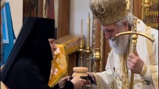 Приветственные слова по окончании Божественной Литургии #святаяземля #patriarchate #рдм