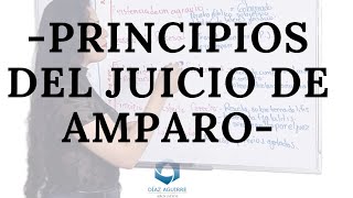 Principios del Juicio de Amparo | Díaz Aguirre Abogados