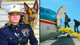 Marine Veteran & His Service Dog Are Refused Entry On Airplane. What Happens Next Is Shocking!